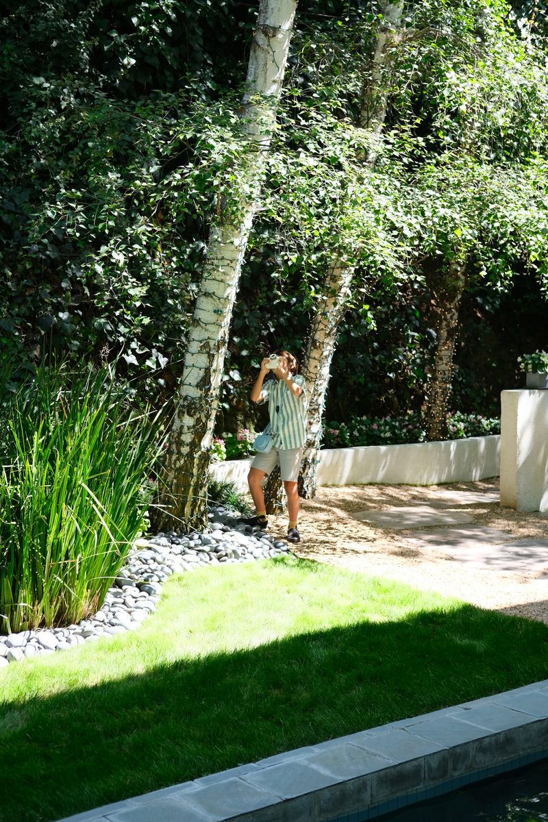 A garden walkway framed by string lights and greenery